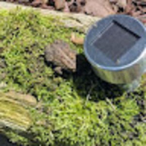 Meet your Posher, Sunshine